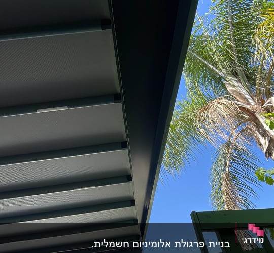 פרגולה מאלומיניום עם נוף של עץ דקל ושמיים כחולים